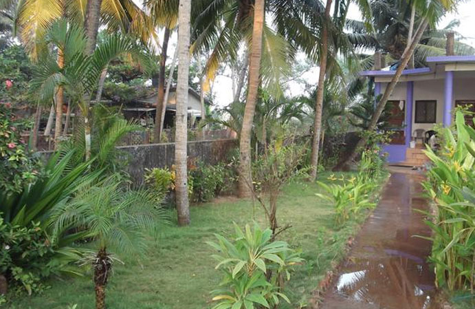 ABC Hostel , Anjuna