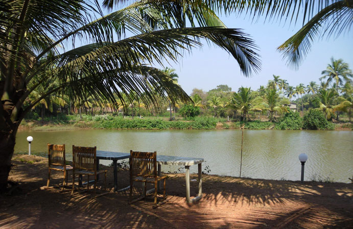 Om Lake Resort in Arambol